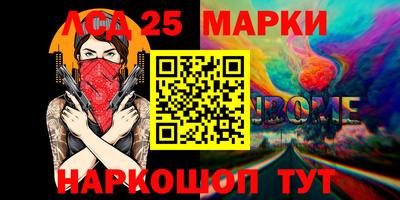 индика Лесосибирск