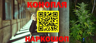 прущие грибы Кулебаки