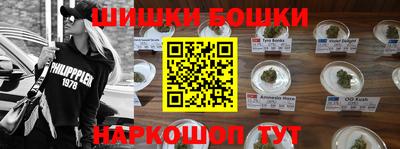 индика Лесосибирск