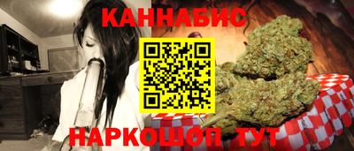 индика Лесосибирск