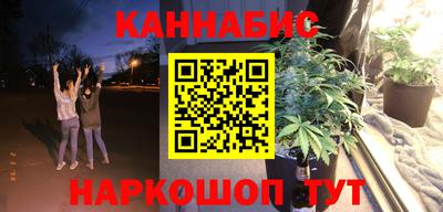 индика Лесосибирск