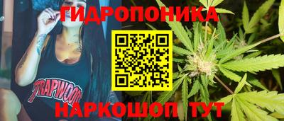 индика Лесосибирск
