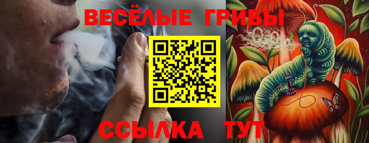 Гусиноозёрск  Псилоцибиновые грибы мицелий  Вход с VPN 